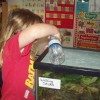 long beach preschool taking care of animals