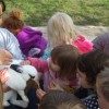 preschool caring for animals