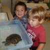 preschool toddlers with animals (1)