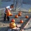 Edgewater Preschool 10 year fall festival - long beach (26)