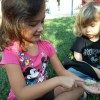 Egewater Preschool insect discovery (1)