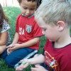 Egewater Preschool insect discovery (4)