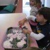 preschool long beach fest (3)