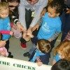 edgewater preschool long beach animal field trip (10)