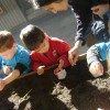 edgewater preschool long beach animal field trip (11)