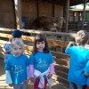 edgewater preschool long beach animal field trip (2)