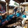 edgewater preschool long beach animal field trip (7)
