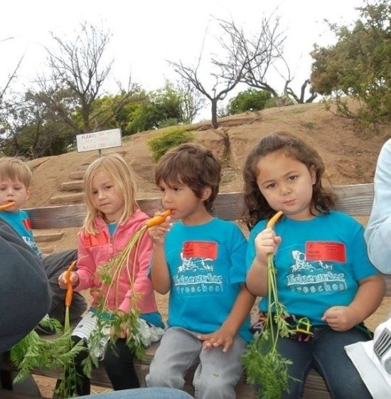 edgewater long beach field trip farm (1)