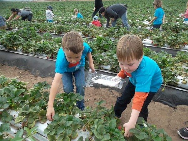 edgewater long beach field trip farm (3)