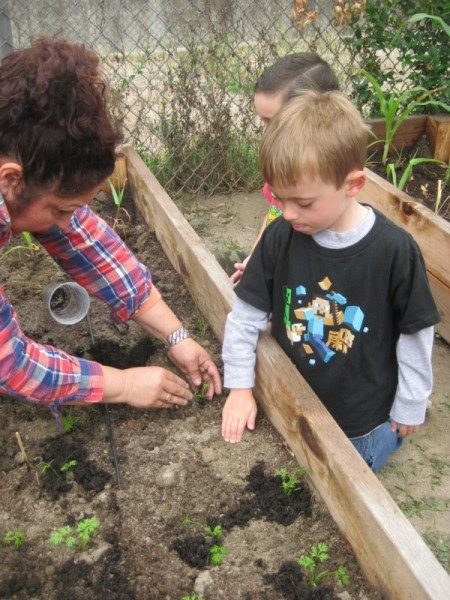 preschool garden (4)