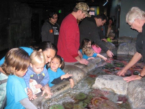 Long Beach Aqarium Field Trip (5)