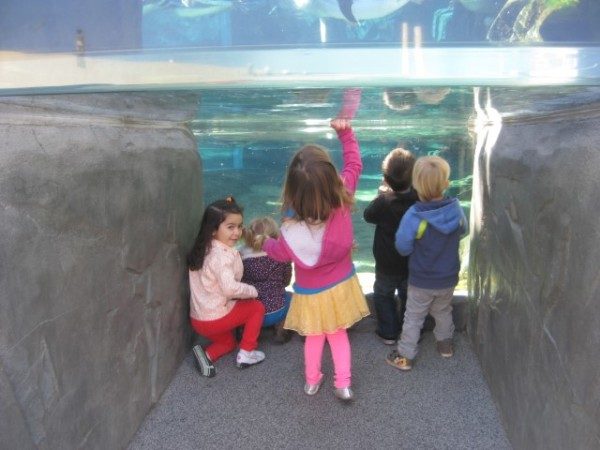 Long Beach Aqarium Field Trip