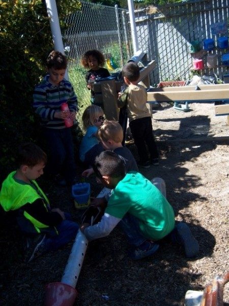 long beach preschool outdoor play (13)2