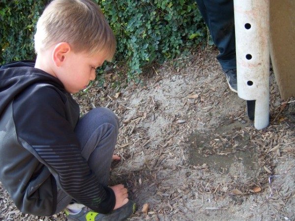 long beach preschool outdoor play (8)