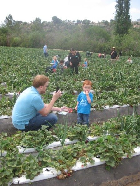 preschool field trip (7)