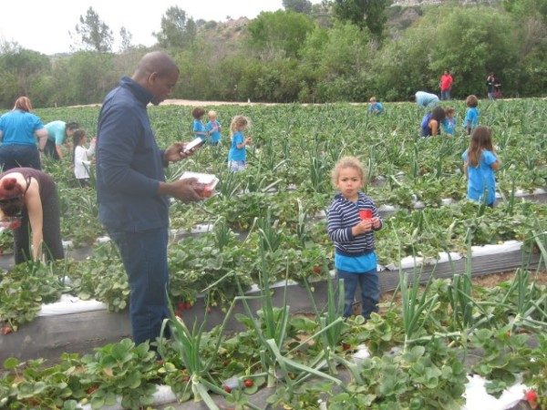 preschool field trip (8)