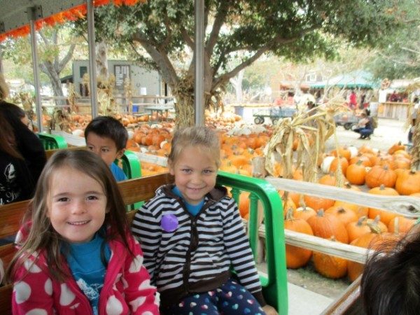 edgewater-preschool-pumpkin-patch-field-trip-1