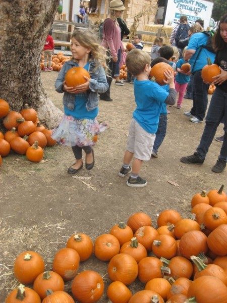 edgewater-preschool-pumpkin-patch-field-trip-16