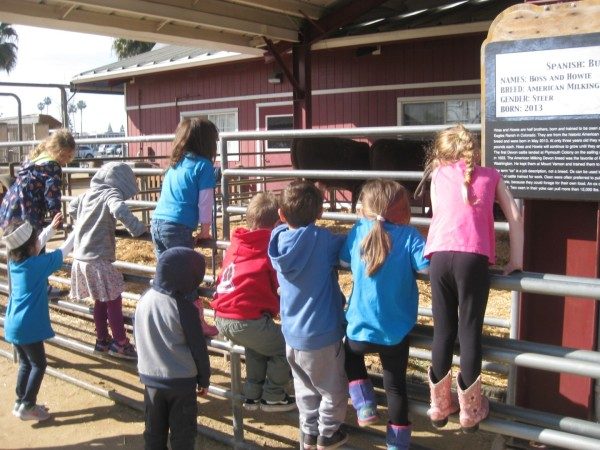 preschool field trip to farm-long beach (2)