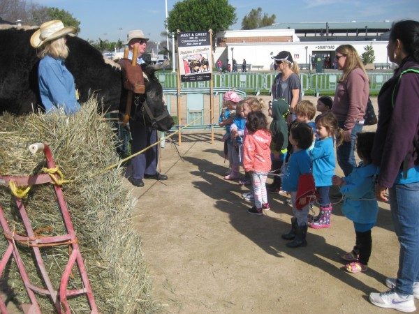 preschool field trip to farm-long beach (3)