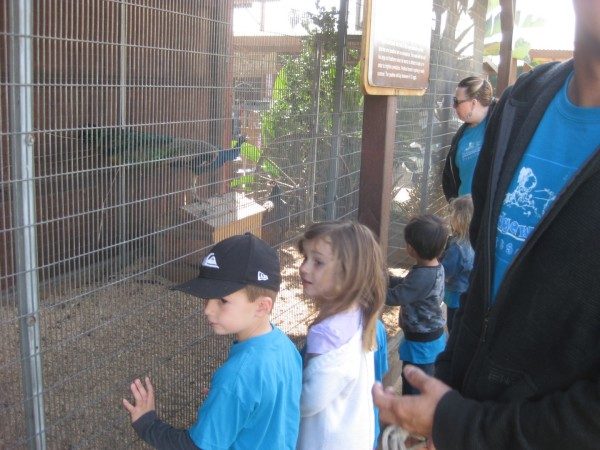 preschool field trip to farm-long beach (5)