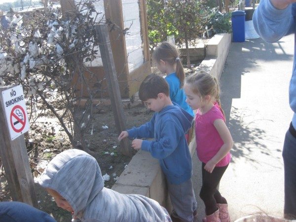 preschool field trip to farm-long beach (6)