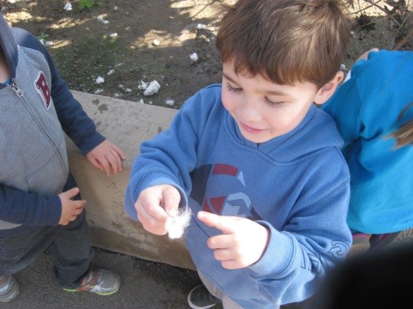 preschool field trip to farm-long beach (7)