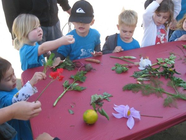 preschool field trip to farm-long beach (8)