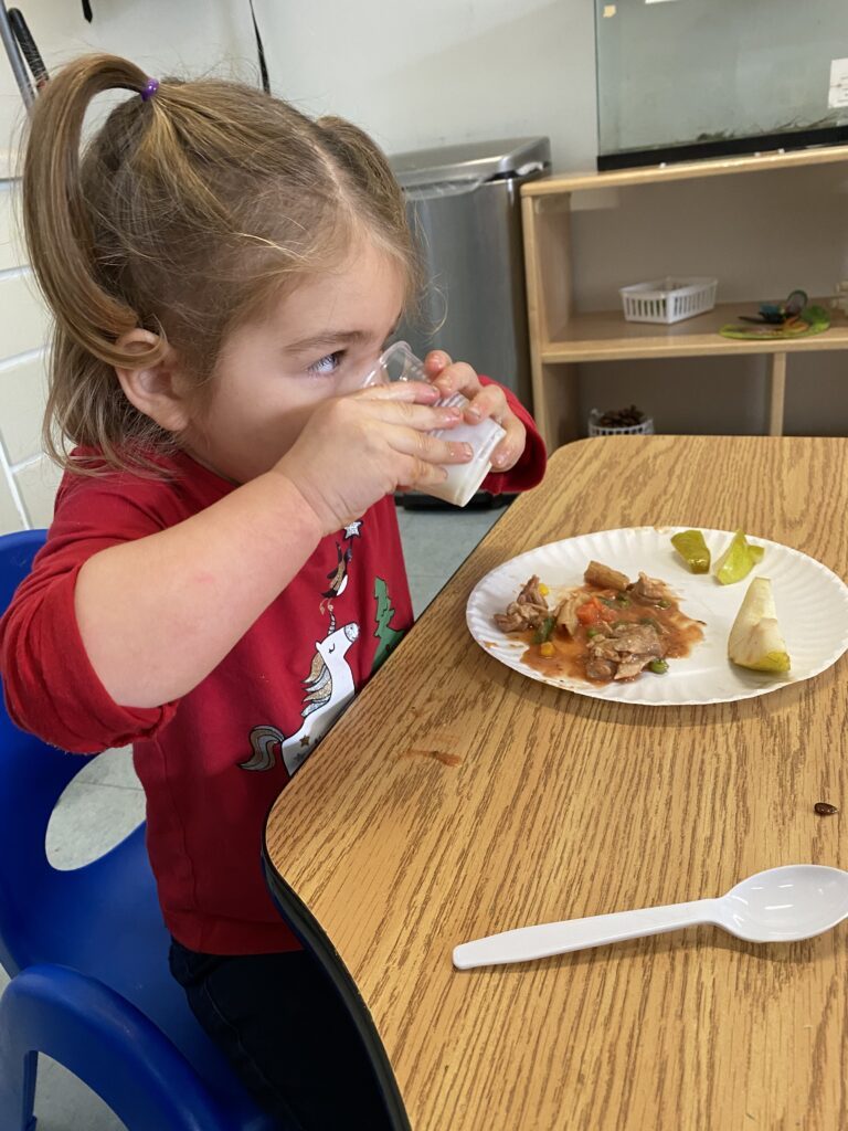 Toddler lunch