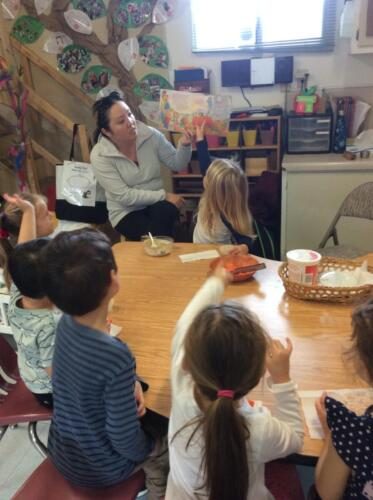 Edgewater Preschool Events and Trips (16)