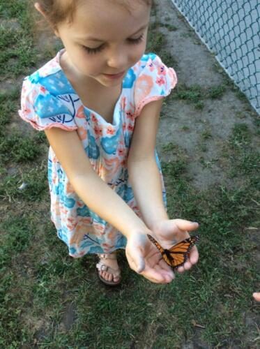 Edgewater Preschool Outdoor (14)