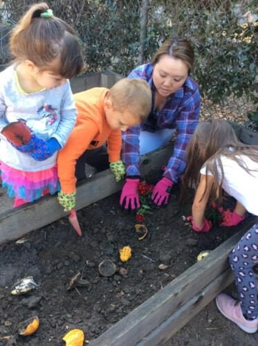 Edgewater Preschool Outdoor (17)