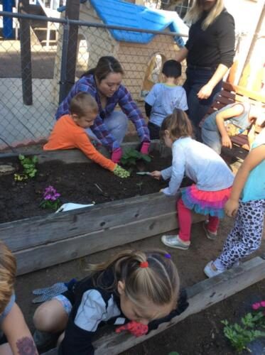 Edgewater Preschool Outdoor (18)