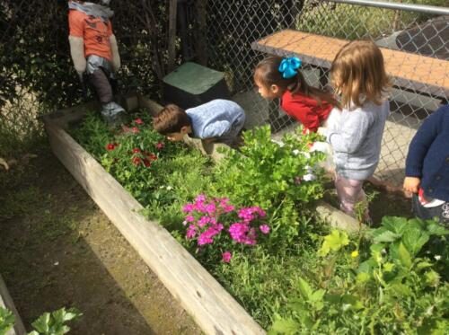 Edgewater Preschool Outdoor (8)