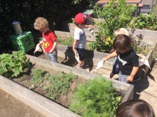 Edgewater Preschool Outdoor (9)